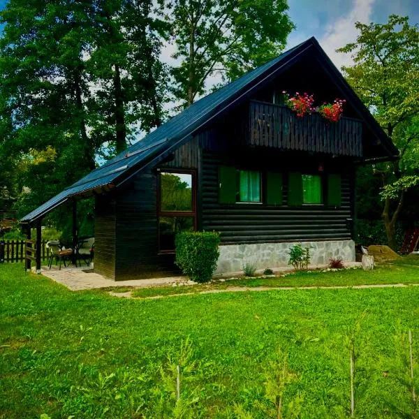Apartma Dobnik, hotel v destinaci Mozirje