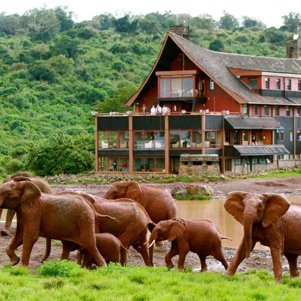 The Ark Lodge, Hotel in Mweiga