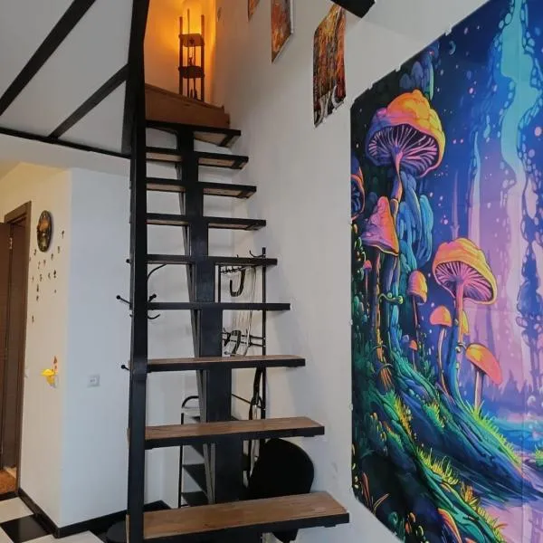 Soko Aura, hotell Gudauris