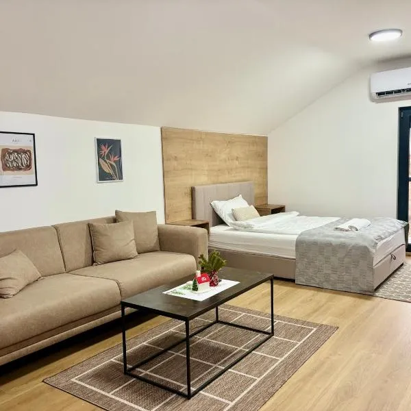 Promo Studio Apartment, ξενοδοχείο σε Pirot