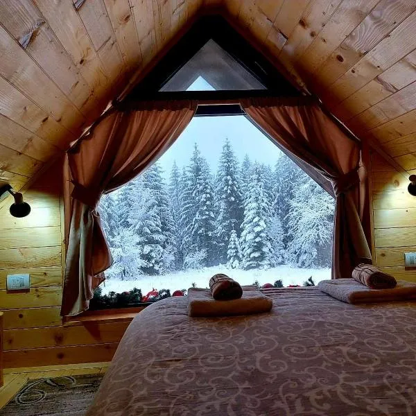 Brvnara Miris Bora, ξενοδοχείο σε Šljivovica