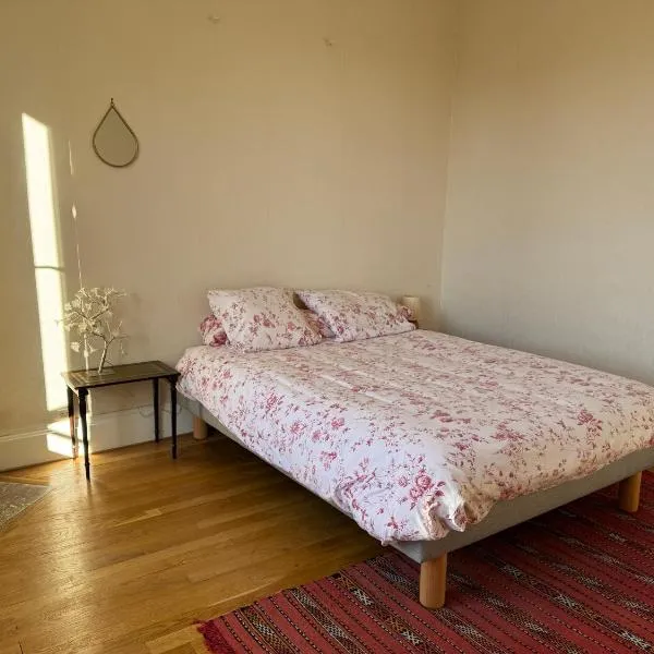 La Ruche Jean Jaurès, hotel en Nancy