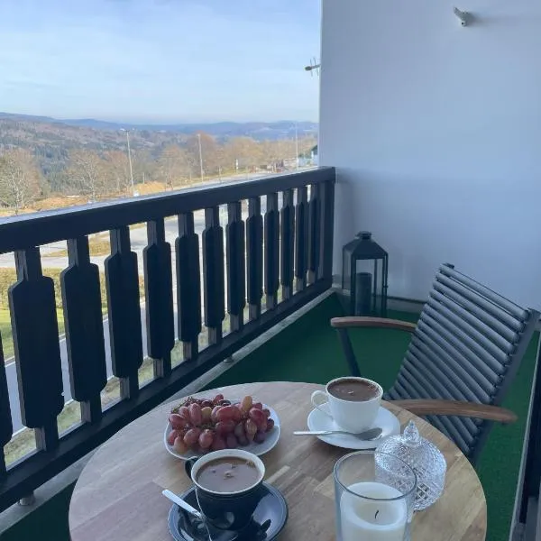 Two Apartaments Almberg - Mitterdorf-Mitterfirmiansreut, hotel v destinaci Mitterfirmiansreut