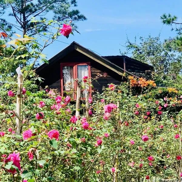 Romantic house 2 on a pine hill Dalat, hotel v destinaci Da Lat