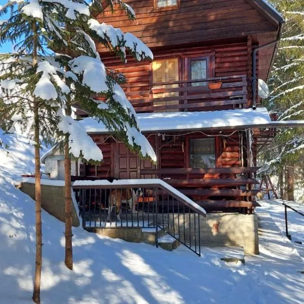 Cabana Dochita 2, hotel v destinaci Ceahlău