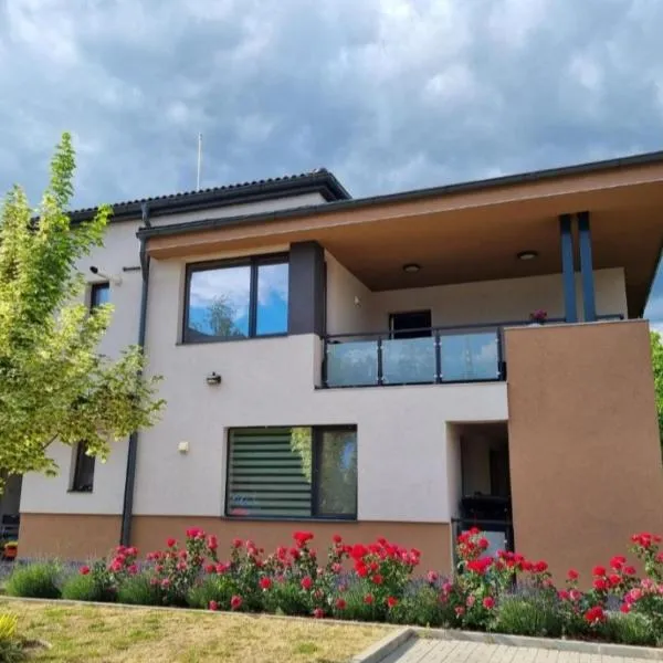 Lotus Apartman III, hotel v destinaci Odorheiu Secuiesc