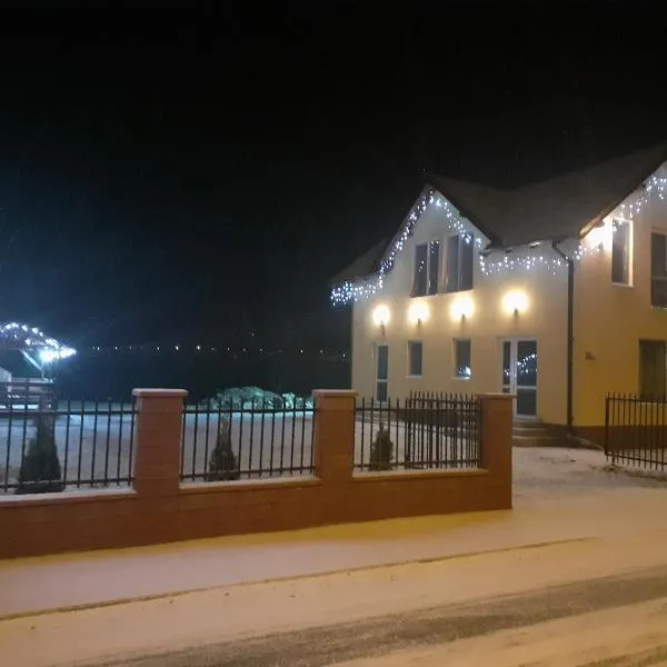 Pensiunea Casa Lircă、トプリツァのホテル