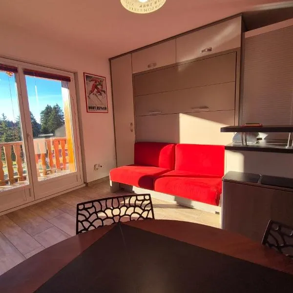 Cozy apartment "WAPITI" at the foot of the slopes, hotel en Les Déserts