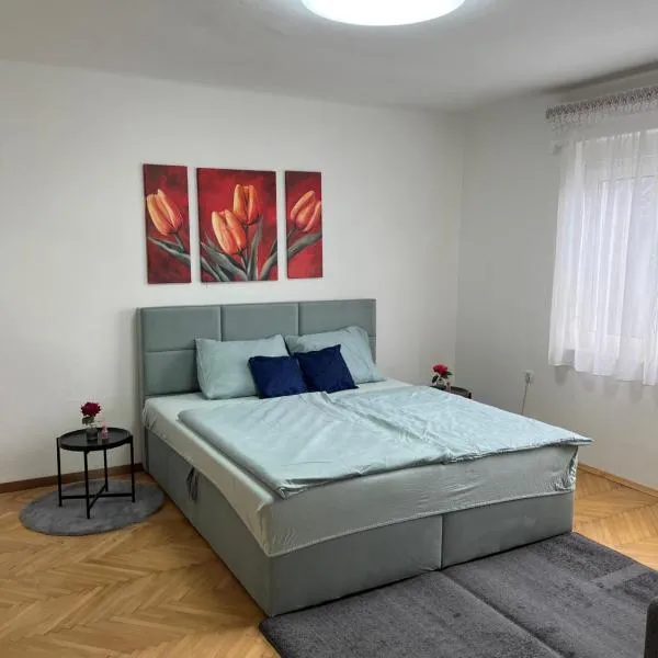 Gemütliche Stadtwohnung Leoben, Gratis Parkplätze, hotel v destinaci Leoben
