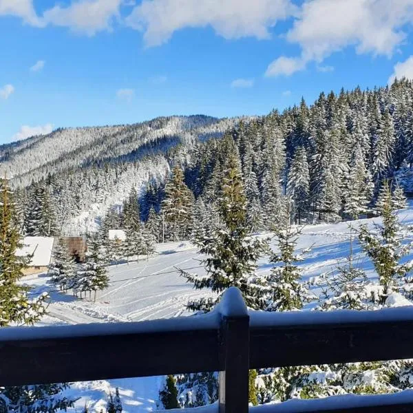 Vlašićka ruža Eko FIS 303, hotel in Vlasic