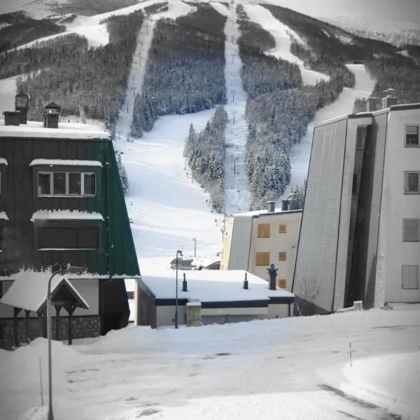Apartman Relax Bjelašnica, hotel in Trnovo