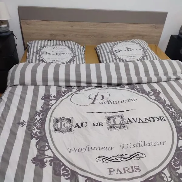 Grand Appartement chaleureux, hotel v destinaci Mirebeau-sur-Bèze