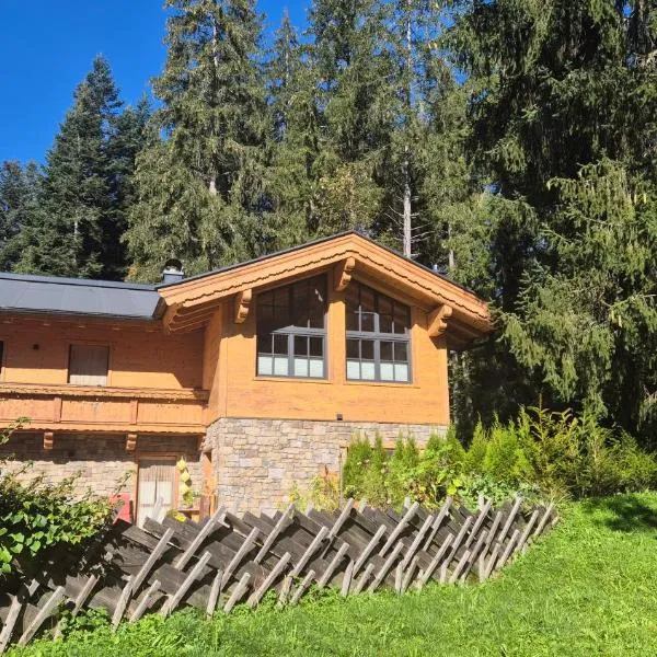 das historische MEIXNER am Rerobichl Bezirk Kitzbühel, hotel sa Oberndorf in Tirol