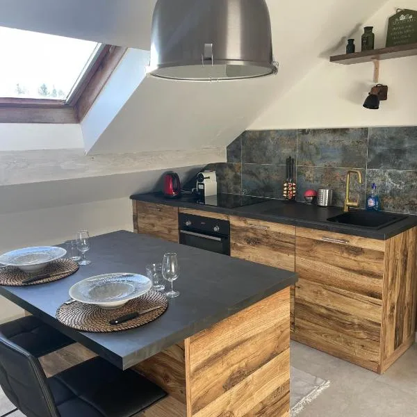 Appartement avec garage privé, hotel v destinaci Saint-Laurent-en-Grandvaux