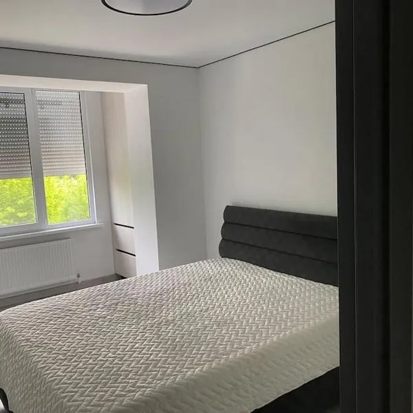 Chirie apartament, hotel v destinaci Căuşeni