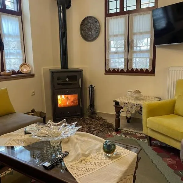 Petrini Armonia, Vitsa Zagori, hotel di Vitsa