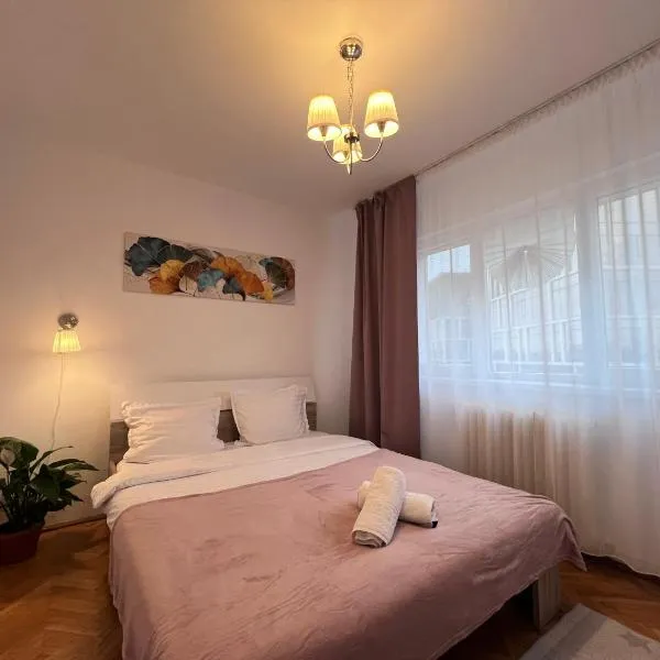 Central Palace View Apartment, hôtel à Iaşi