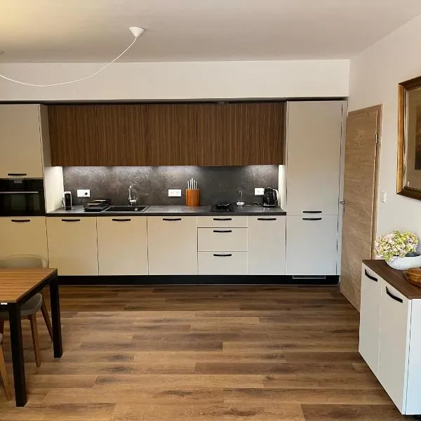 Apartmán Hruška Černý Důl, hotel v Černém Dole