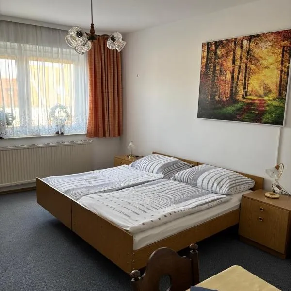 Pension Eicher, hôtel à Schwechat