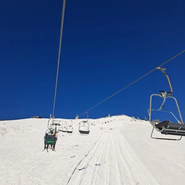 Nur 3 Min zu Skilift & 5Min zum See, hotel in Mitterbach