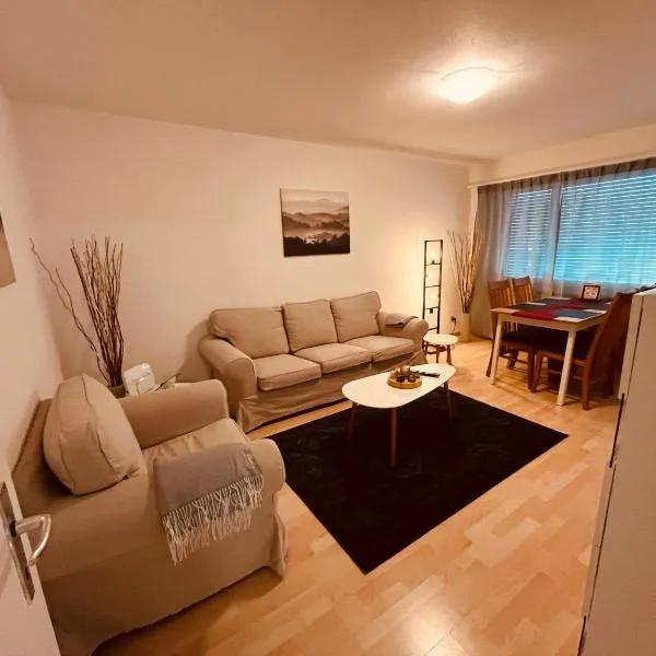 3-Room Apartment for Business Travelers or Familie, Free WiFi & TV with 100 Countries, DAZN, Sky, Netflix & Disney, hotel di Wynau