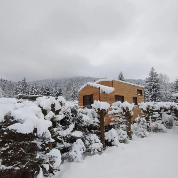 Tiny House - Cottages - Mobilhomes - Camping Les Granges Bas, Hotel in Gérardmer
