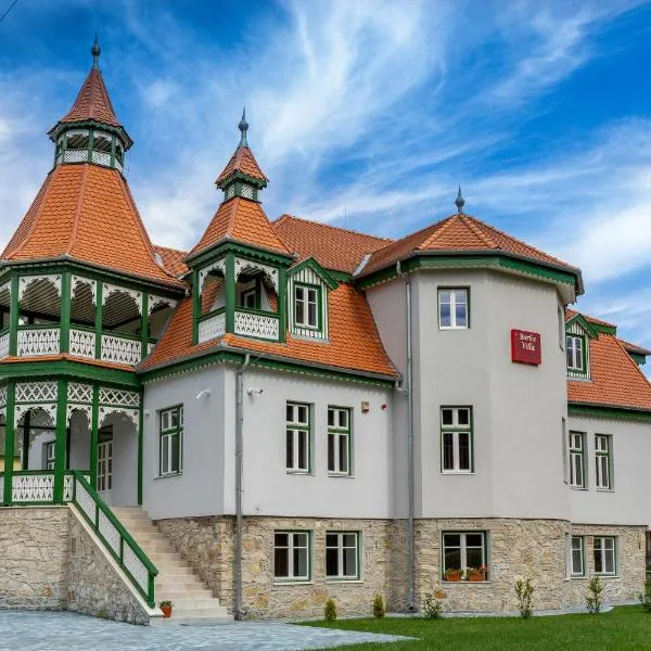 Vila Borka, hotel v destinaci Borsec