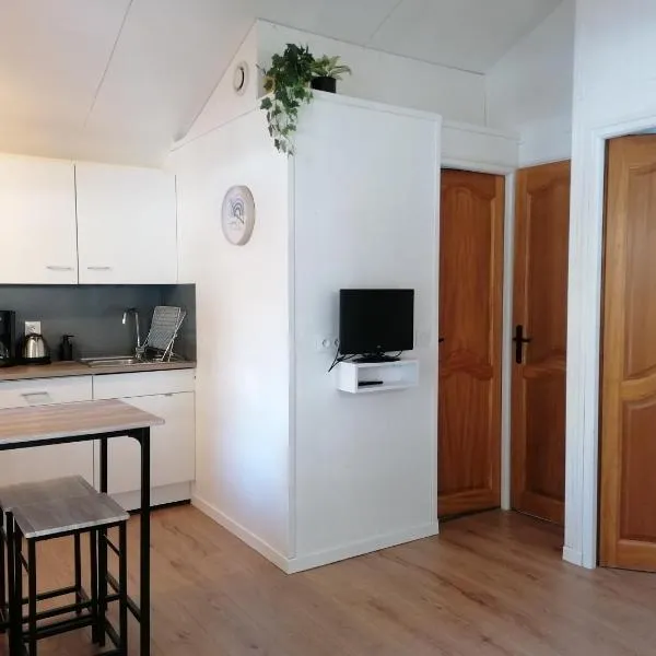 Camping le Tréjeux - Petit Chalet – hotel w mieście Thônes