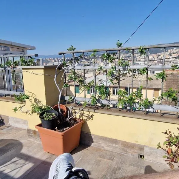 La Cabina del Capitano, hotel in Genova