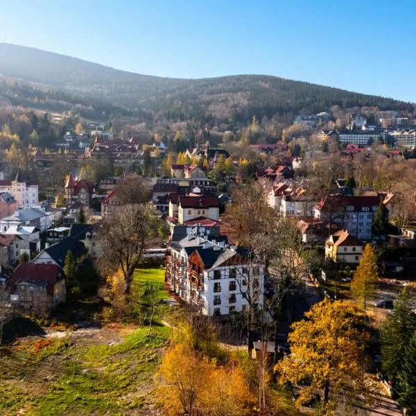 Wonder Home- Sienkiewicza 9, ścisłe centrum, blisko deptaka, hotel di Swieradow-Zdroj