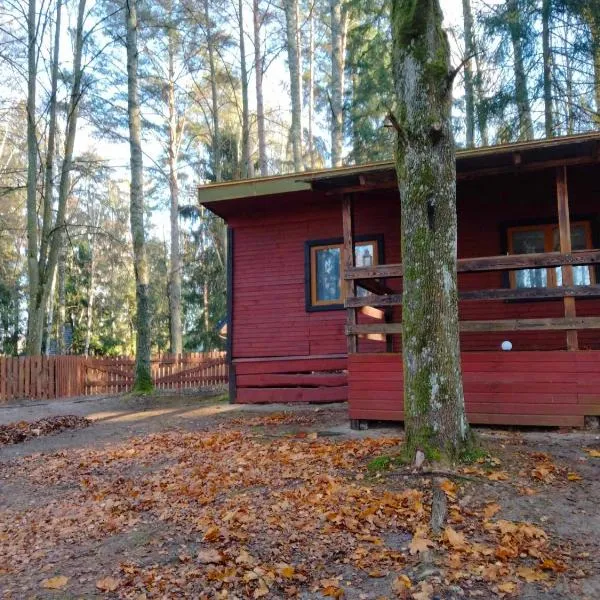 Oleandria -,,Domek Pokrzywa", hotel v destinaci Biskupiec