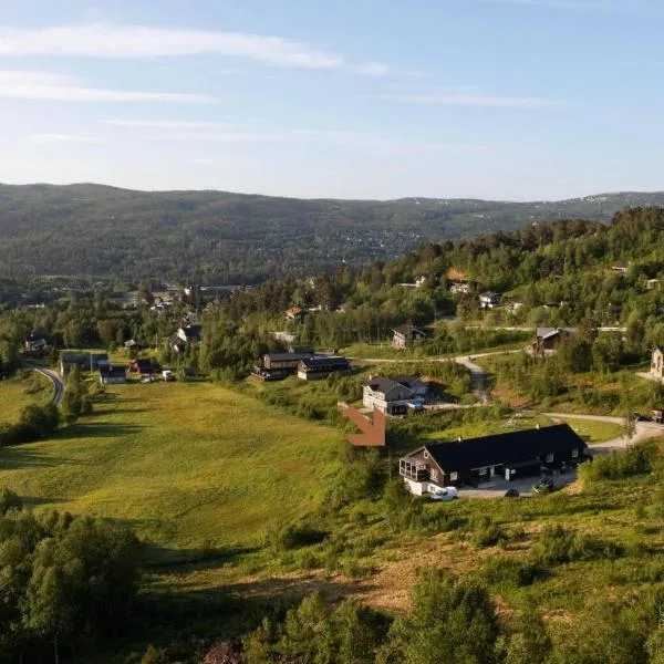 Cozy apartment near ski attractions, Hotel in Geilo