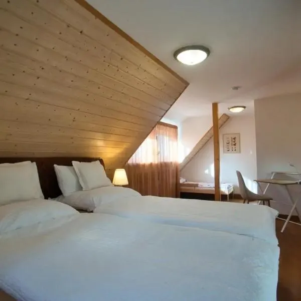 Nachhaltige, veganfreundliche Unterkunft direkt am Bergbaulehrpfad in Schneeberg, ξενοδοχείο σε Schneeberg