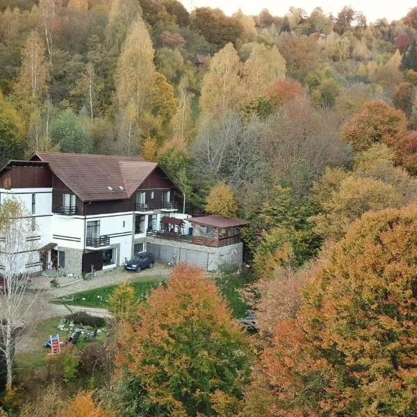 Pensiunea Glasul Pădurii, Hotel in Moieciu de Jos