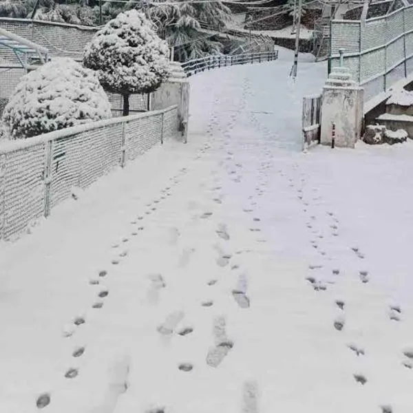 The Devan Wood Resort, hotel v destinaci Dhanaulti