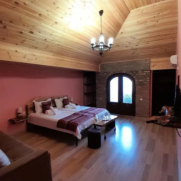 Château Fort de Manavi, Boutique Hotel, hotel v destinaci Manavi