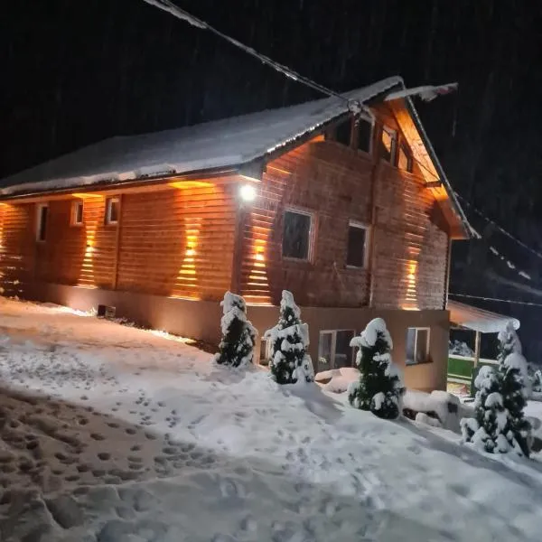 Šumska vila Gašić, hotel v destinaci Kopaonik