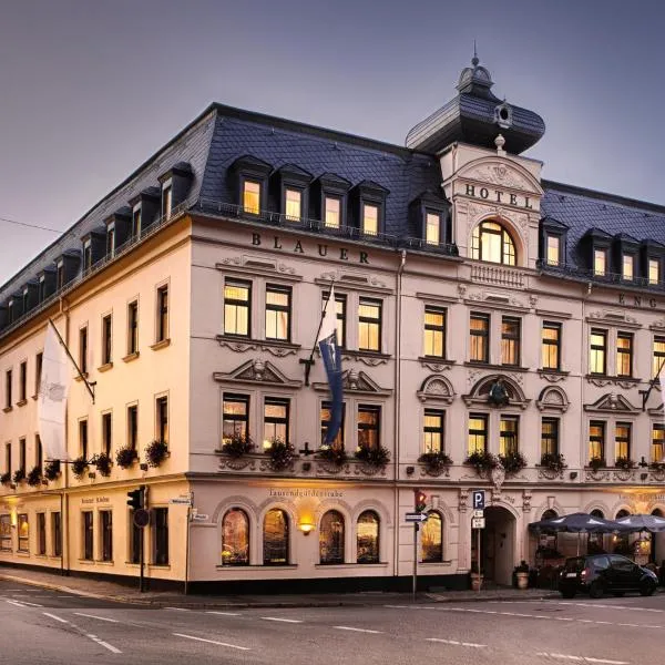 Hotel Blauer Engel, hotel en Schneeberg