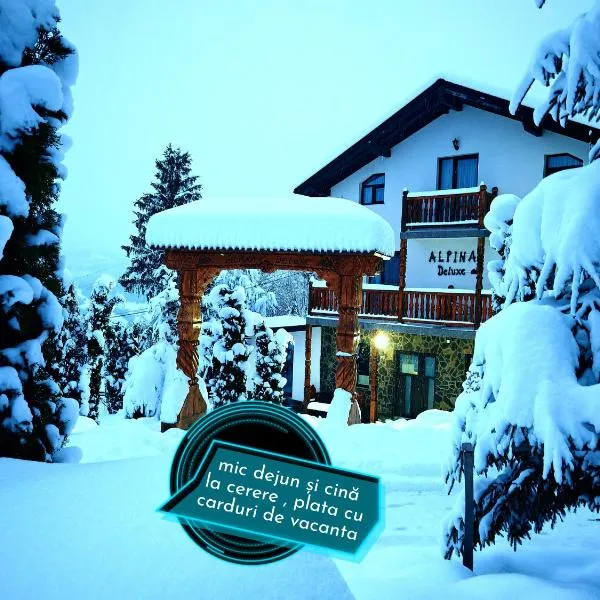 Alpina Panoramic, Hotel in Moisei