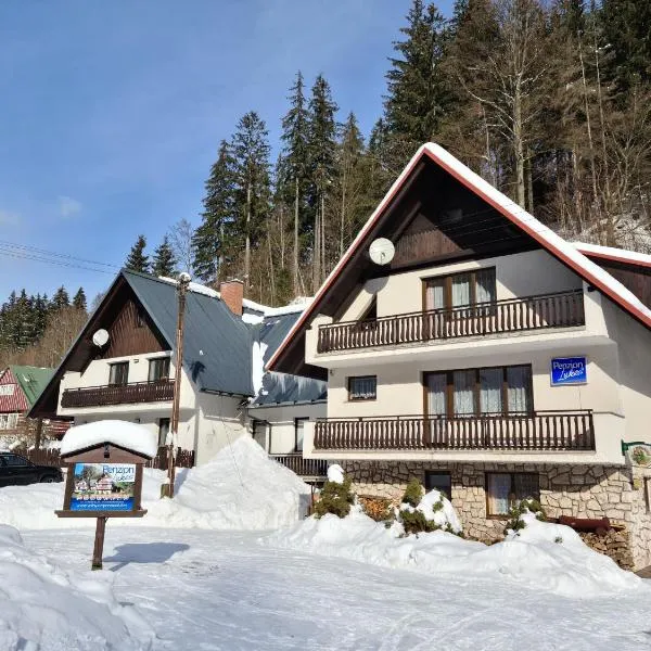 Penzion Lukeš, hotel ve Vítkovicích