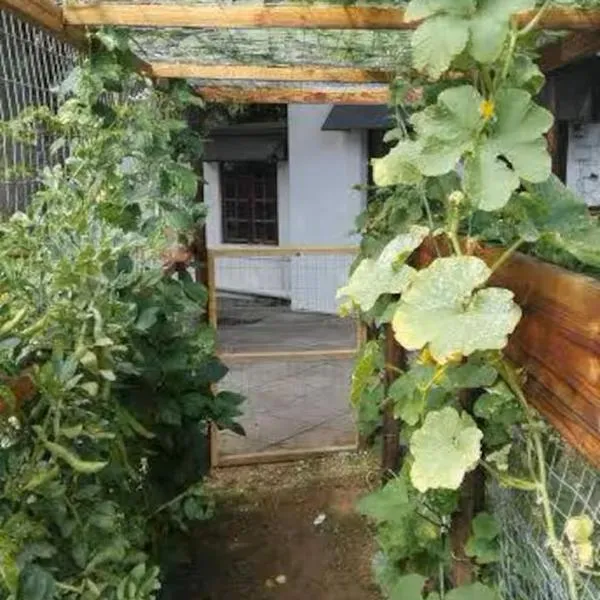 Urban Gardens, hotel v destinaci Gqeberha