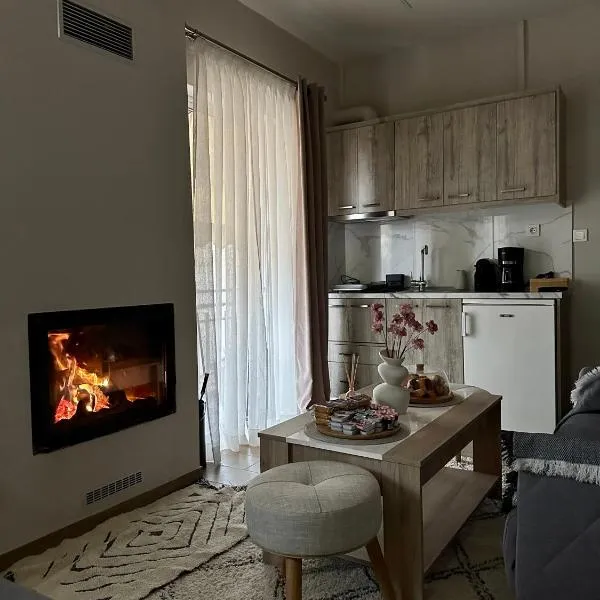 Lagos Apartment, hotel v destinaci Elati Trikala