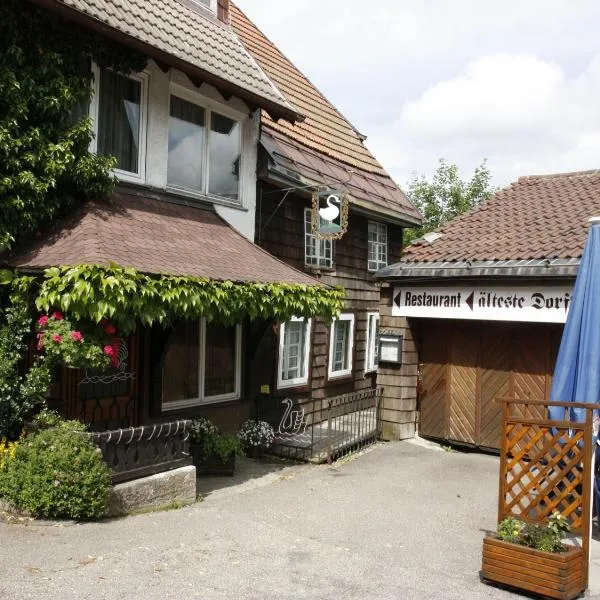 Schwarzwaldgasthof Hotel Schwanen, Hotel in Elzach