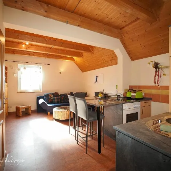 Birkenhof Pließkowitz, hotel v destinaci Malschwitz