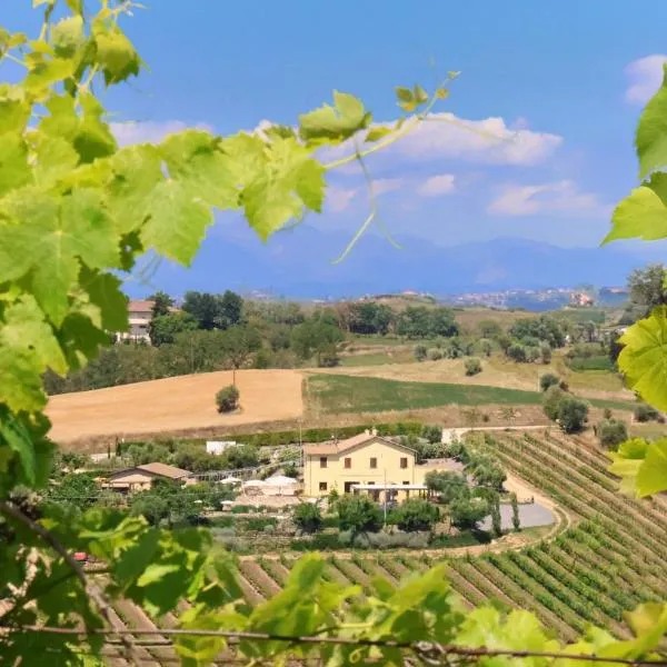 Terra di Ea, hotel in Tortoreto Lido