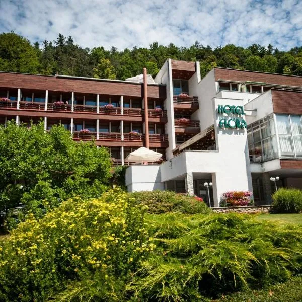 Hotel Flóra, hotel v Trenčianskych Tepliciach