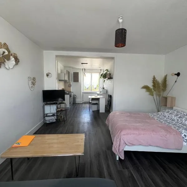 joli T1 avec parking gratuit, hotel in Brest