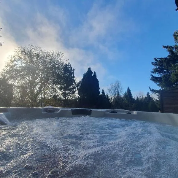 Ferienhaus-Schönwald im Herzen des Schwarzwaldes 2-Zimmer mit Terrasse und Whirlpool App15, hotel in Schonwald im Schwarzwald