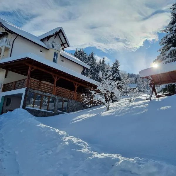 Pensiunea Casa Bradet, hotel v destinaci Statjunea Borsa