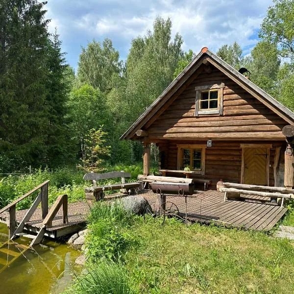 Koplimadise Palkmaja, hotell Maerus